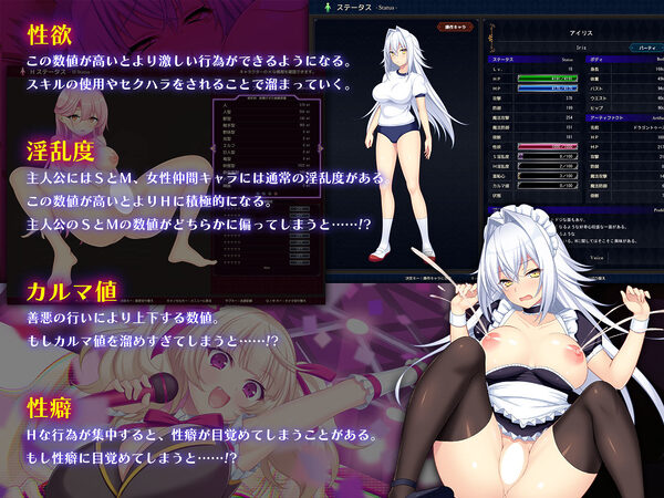 ドラゴンブラッド+追加DLC1セット 画像1